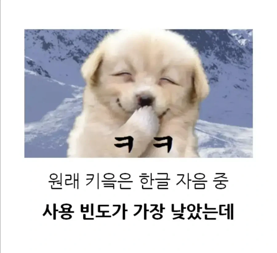 인터넷이 생기고 인생 역전한 한글 글자_2.webp