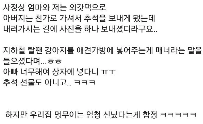 차례 지내러 가는 강아지.jpg_1.webp