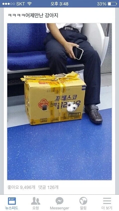 차례 지내러 가는 강아지.jpg_3.webp