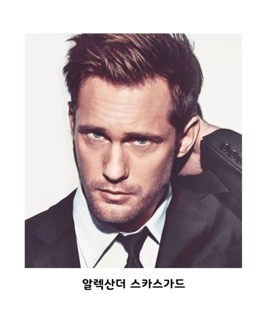 북유럽 특급 배우들이 총출동한 영화.JPG_2.webp