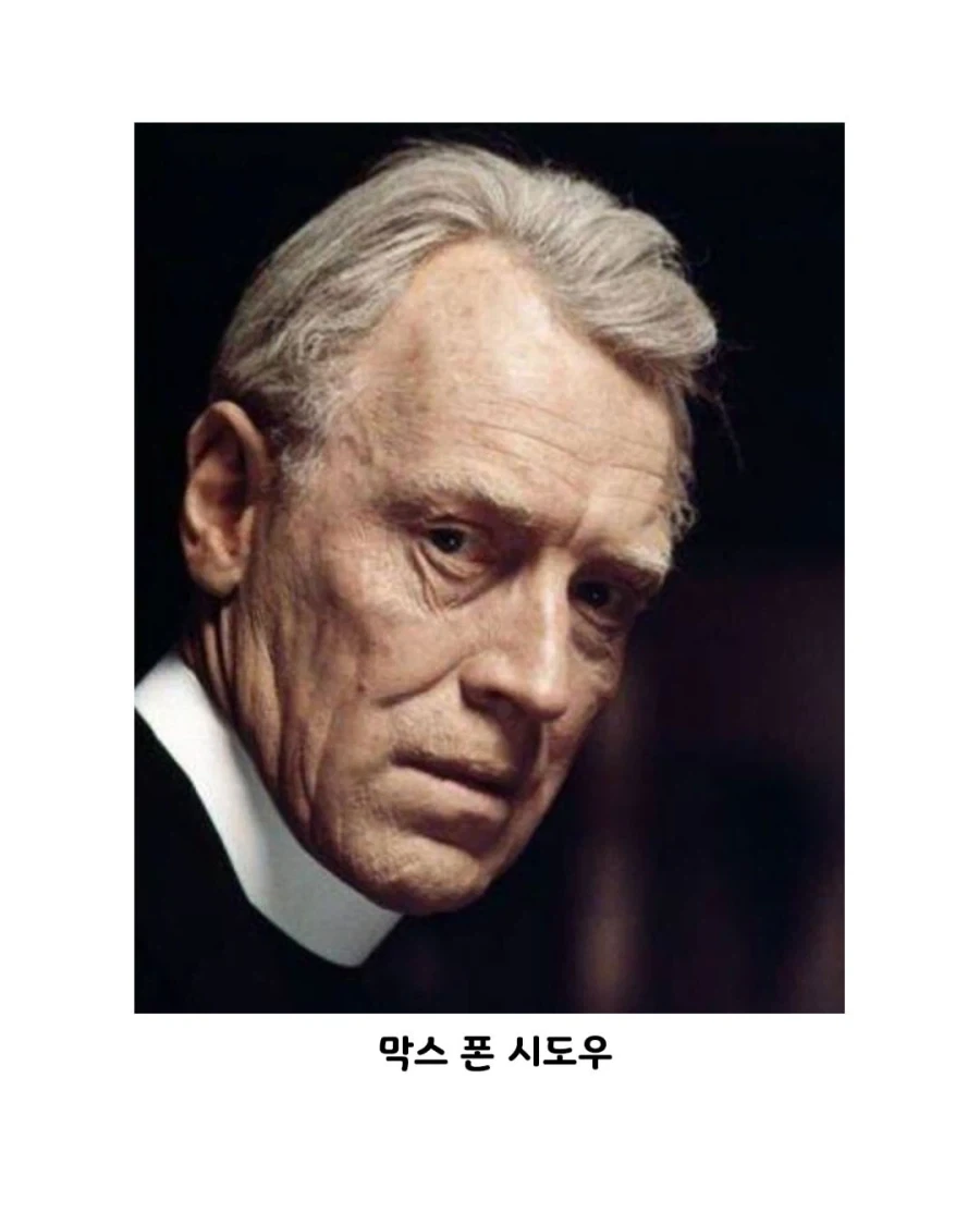 북유럽 특급 배우들이 총출동한 영화.JPG_4.webp