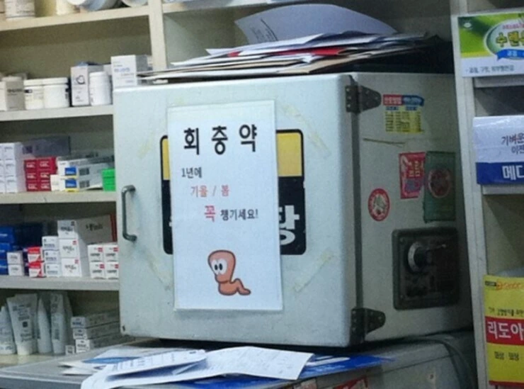 회충약 무조건 먹어야 하는 이유_1.jpg