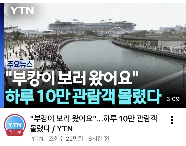 명예로운 죽음을 당한 여수 섬박람회_2.webp