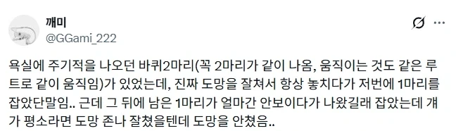 욕실에 주기적으로 나오던 바퀴 2마리가 있었다.jpg_1.webp
