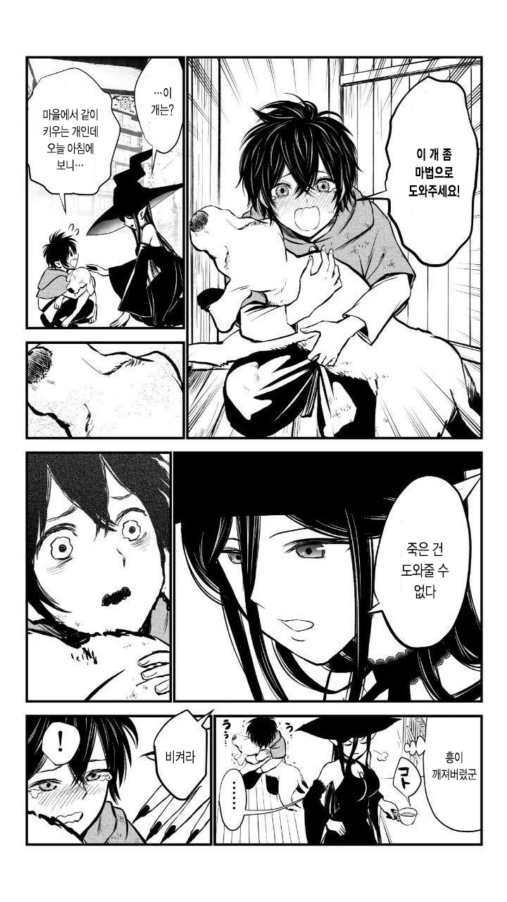 manga_1791660_010.webp