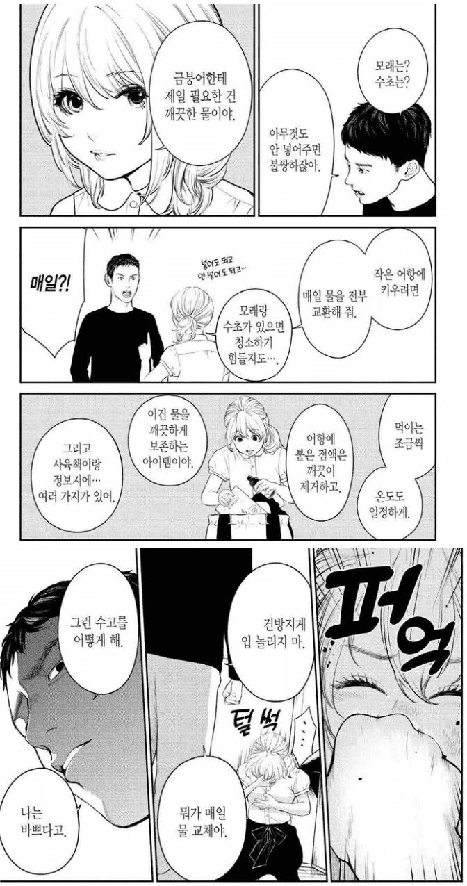 manga_3336864_001.webp