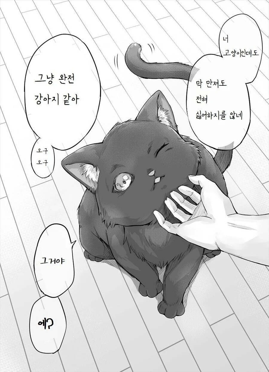manga_3743277_003.webp
