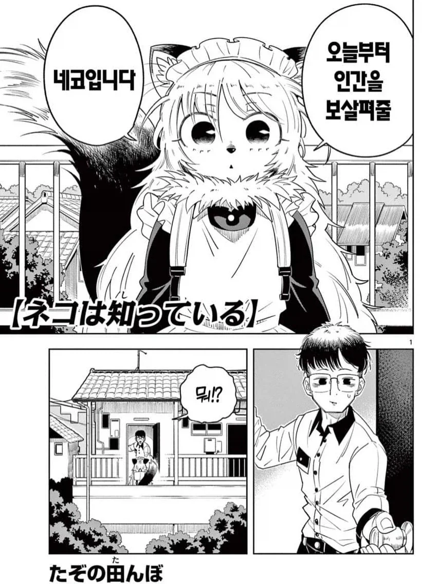 manga_76716482_7649_001.webp
