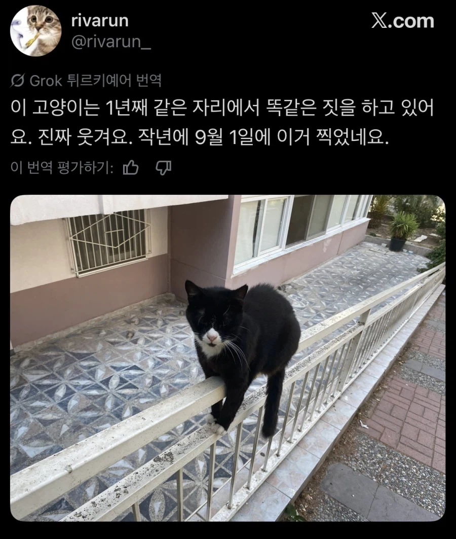 동네 명물_2.webp
