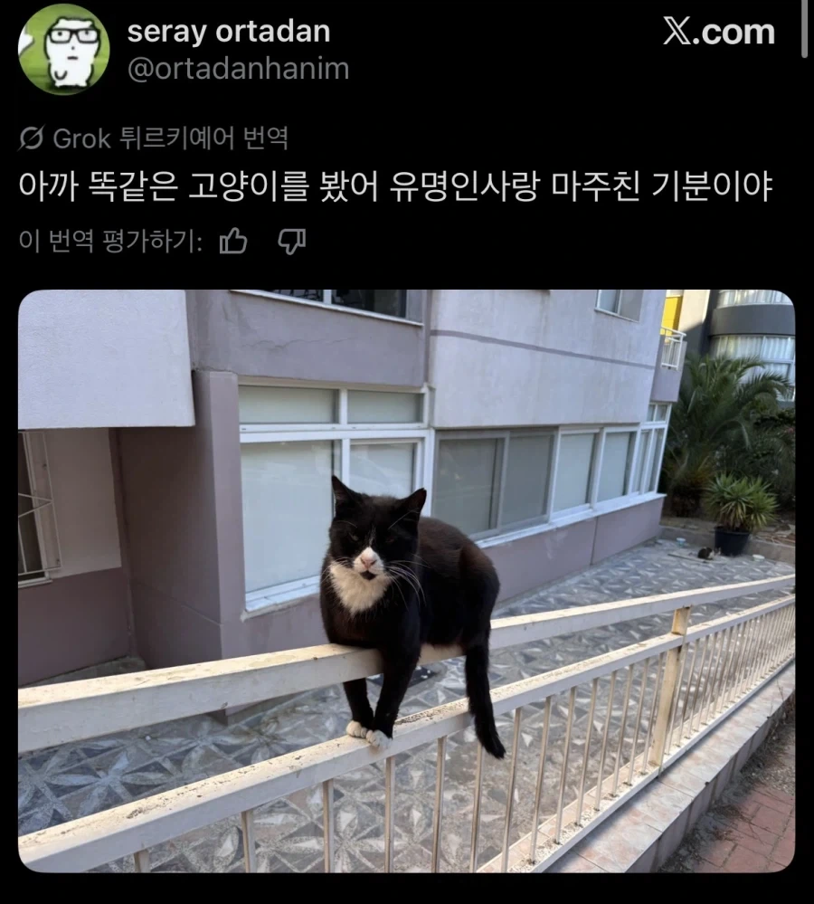 동네 명물_3.webp