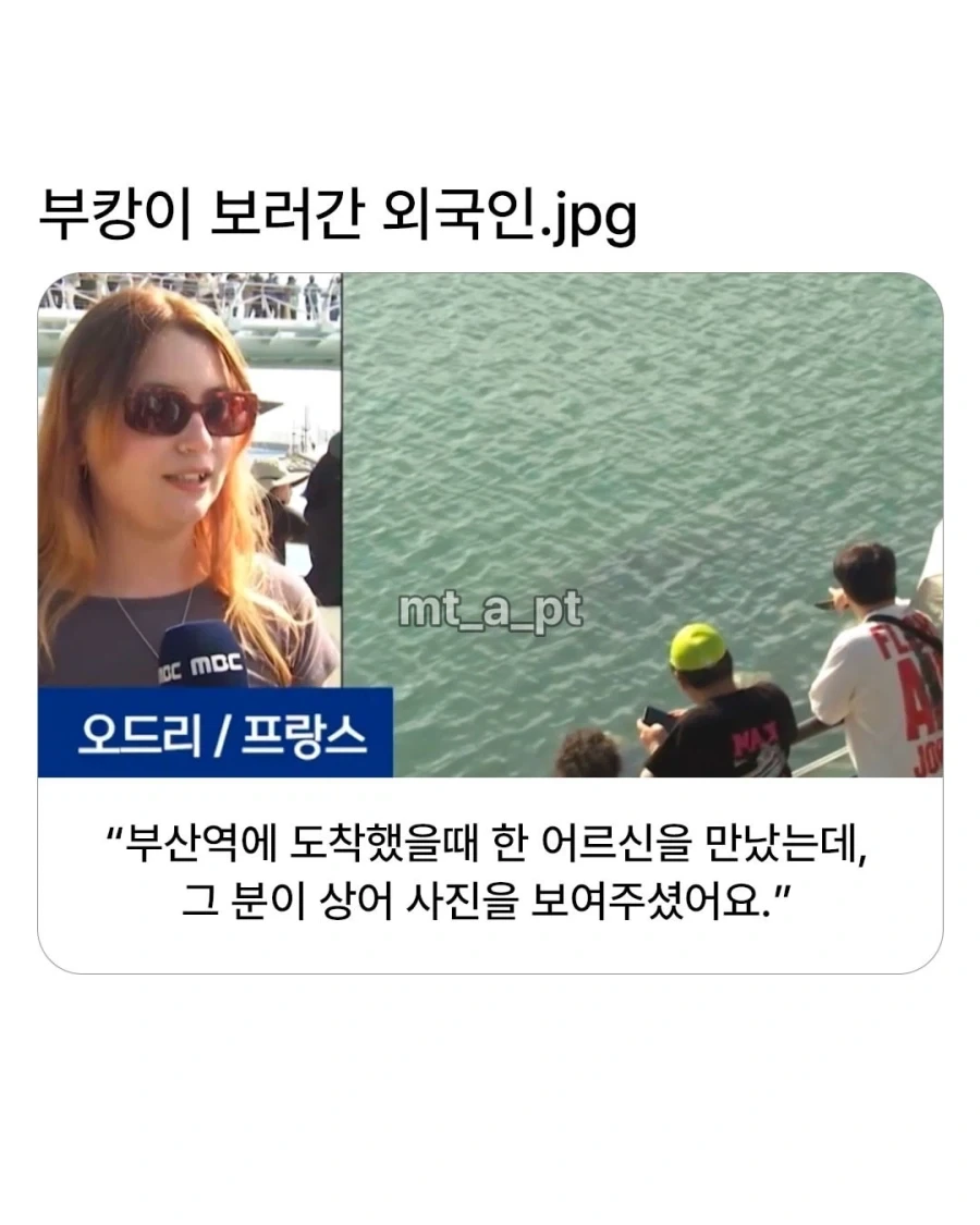 어르신에게 영업 당한 외국인 관광객_1.webp