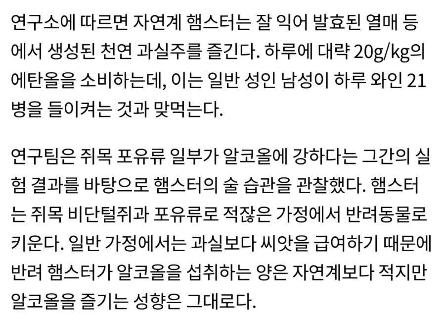 의외로 햄스터 키우면 가능한거_2.webp