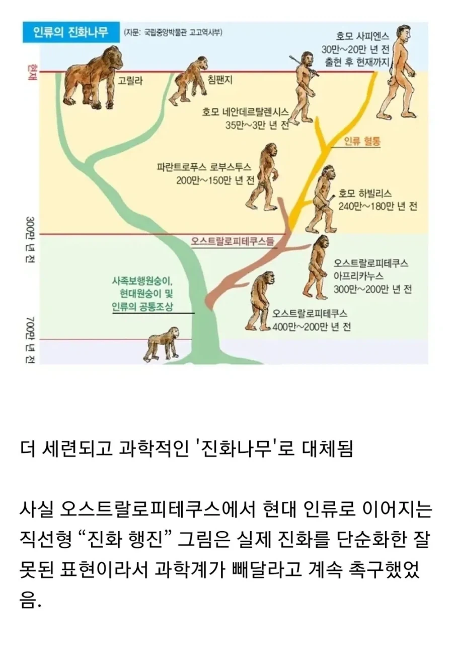 진화론을 조롱하는 대학생_2.webp