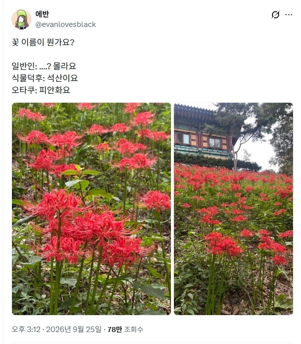 일반인과 덕후, 오타쿠의 인식이 다른 꽃_1.webp