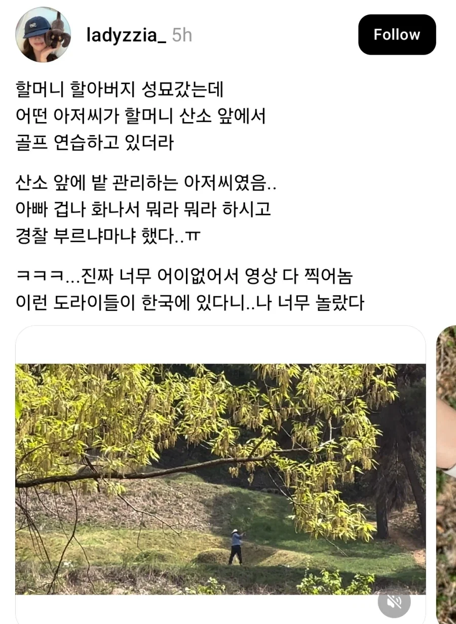 할머니 산소에서 골프 연습하는 관리인_1.webp