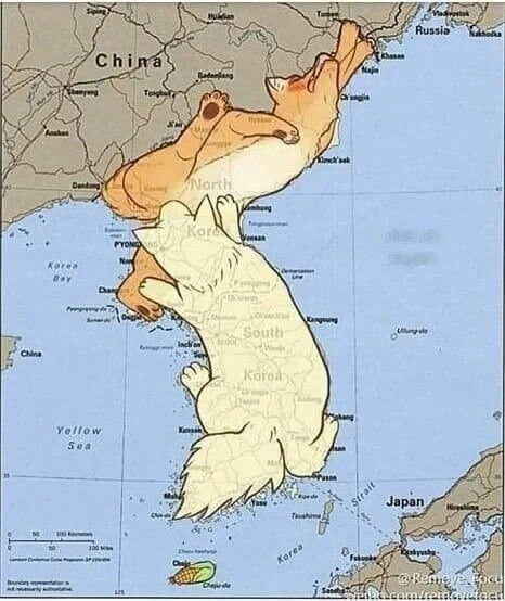 한반도 동물화의 색다른 해석.jpg_1.webp