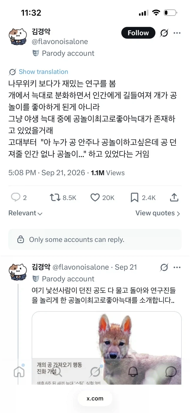 늑대->개에 대해 스톡홀름에서 한 잼난 연구_1.webp