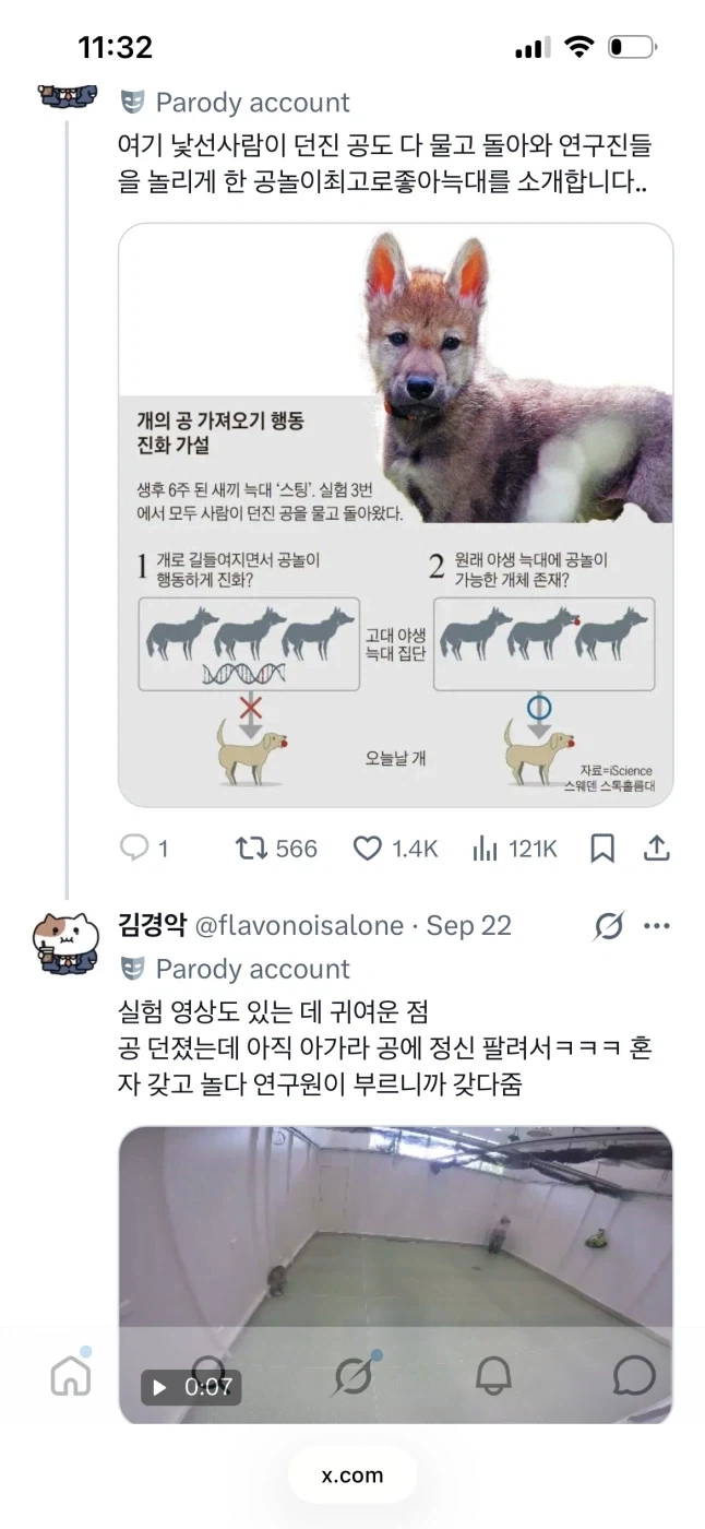 늑대->개에 대해 스톡홀름에서 한 잼난 연구_2.webp