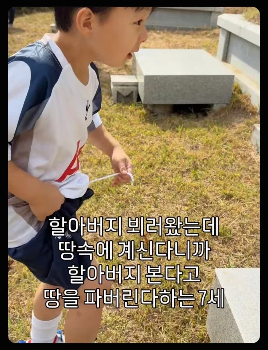 할아버지 보고 싶어서 파묘하는 손자_1.webp