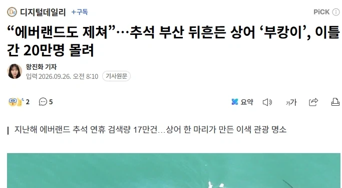 부산 상어가 얼마나 초대박인지 보여주는 폭력적인 워딩.jpg_1.webp