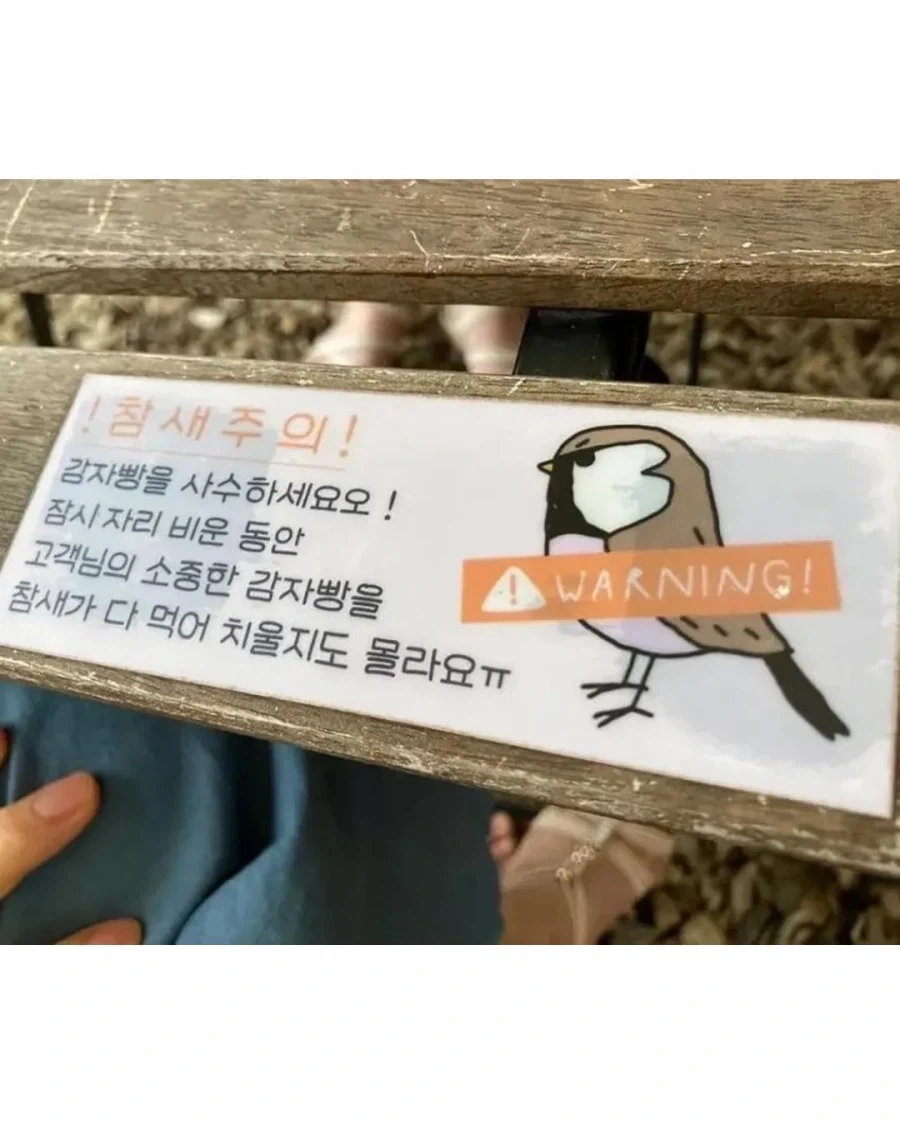 이 참새 유명한가 봄_6.webp