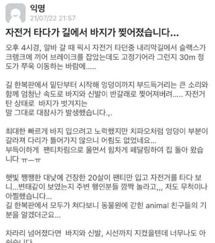 자전거 타다가 바지가 찢어졌습니다….jpg_2.webp