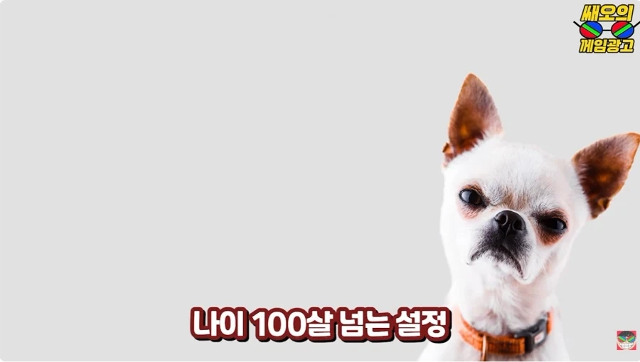 젠존제 100살 할머니 연애 사정 특_2.webp