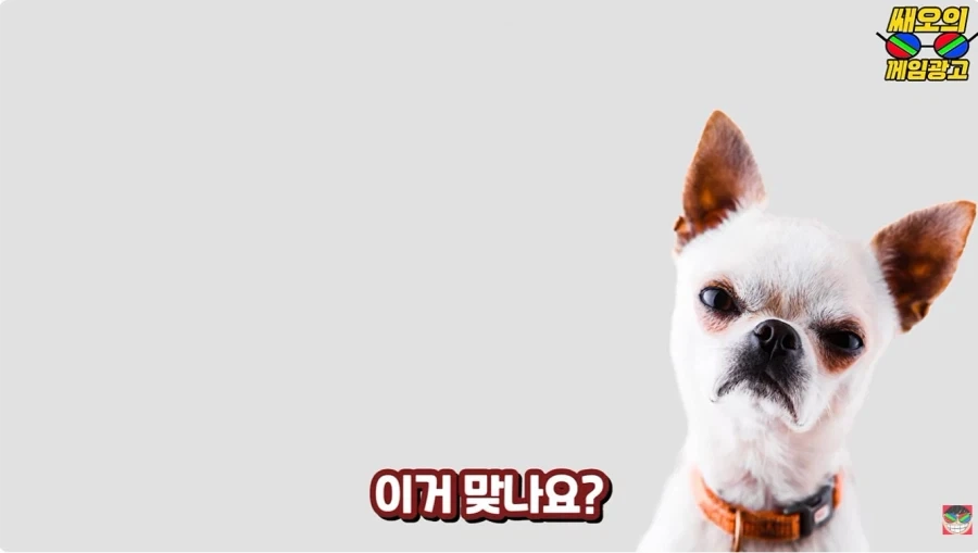 젠존제 100살 할머니 연애 사정 특_3.webp