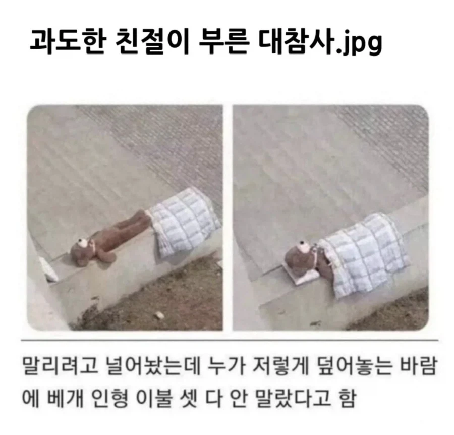 과도한 친절이 부른 대참사_1.webp