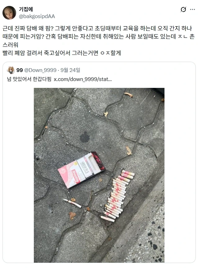 담배 왜 그렇게 피는거야?.jpg_1.webp