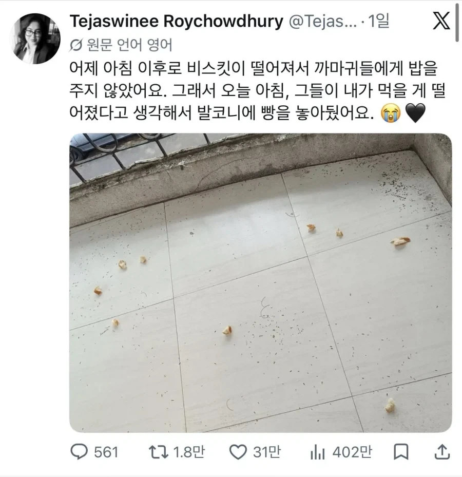 까마귀에게 밥을 주다 멈추면 생기는 일_1.webp