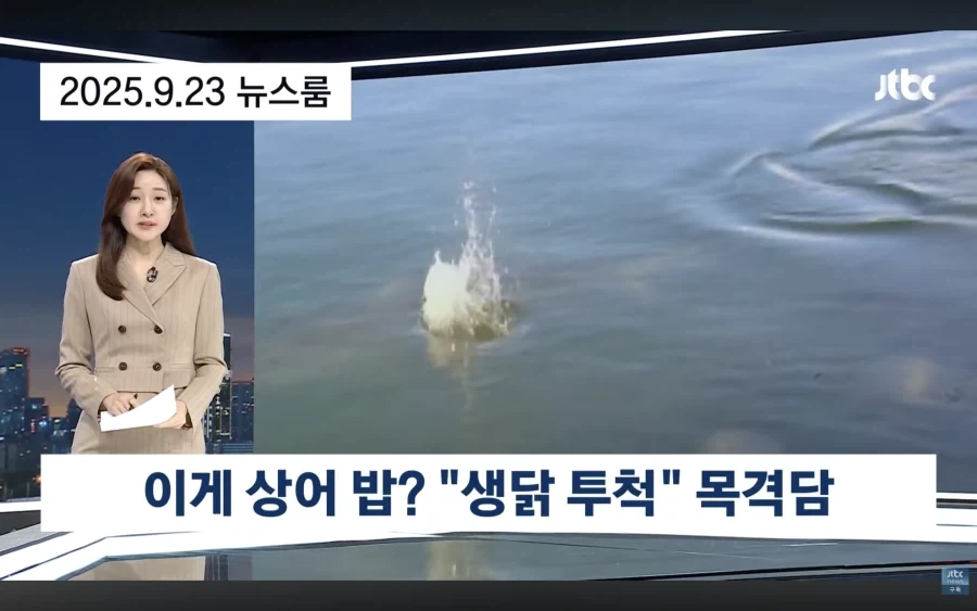 모든 사달은 1%의 ㅂㅅ때문에 벌어진다_1.webp
