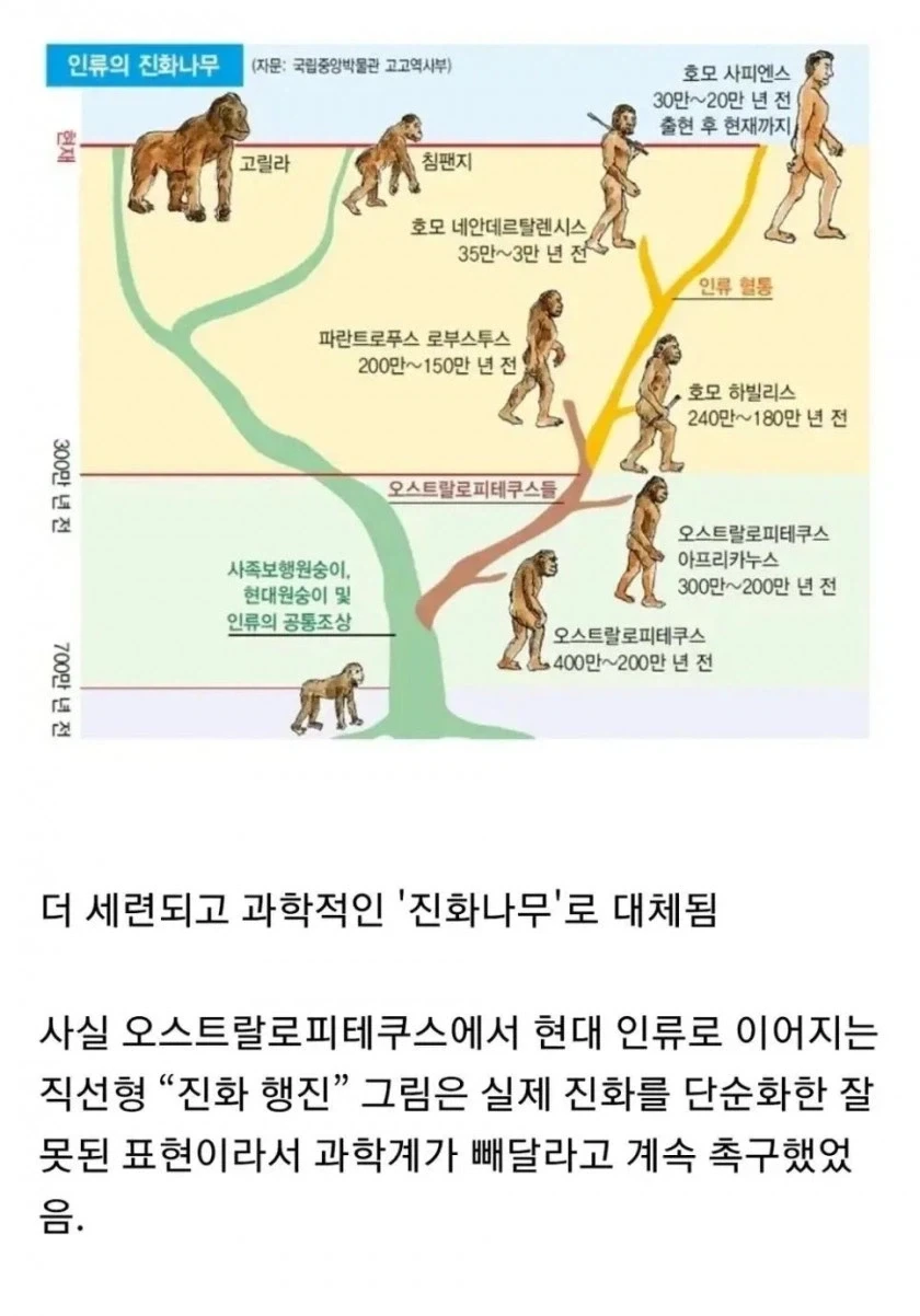 교과서에서 삭제된 인류 진화묘사 그림...._2.webp