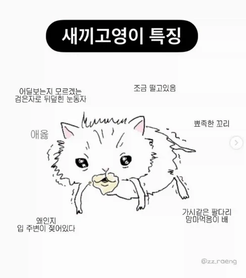 새끼 고양이 하이퍼 리얼리즘_1.webp