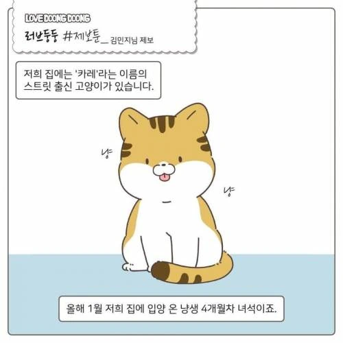 manga_1300173_001.webp