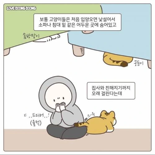 manga_1300173_002.webp