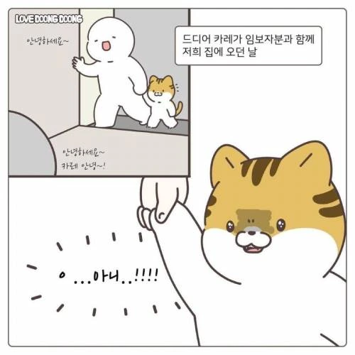 manga_1300173_005.webp
