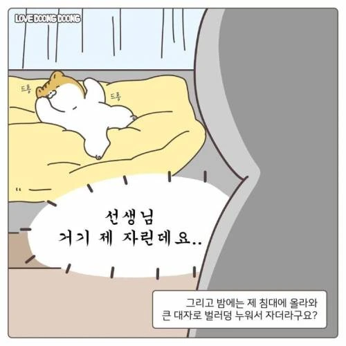 manga_1300173_007.webp