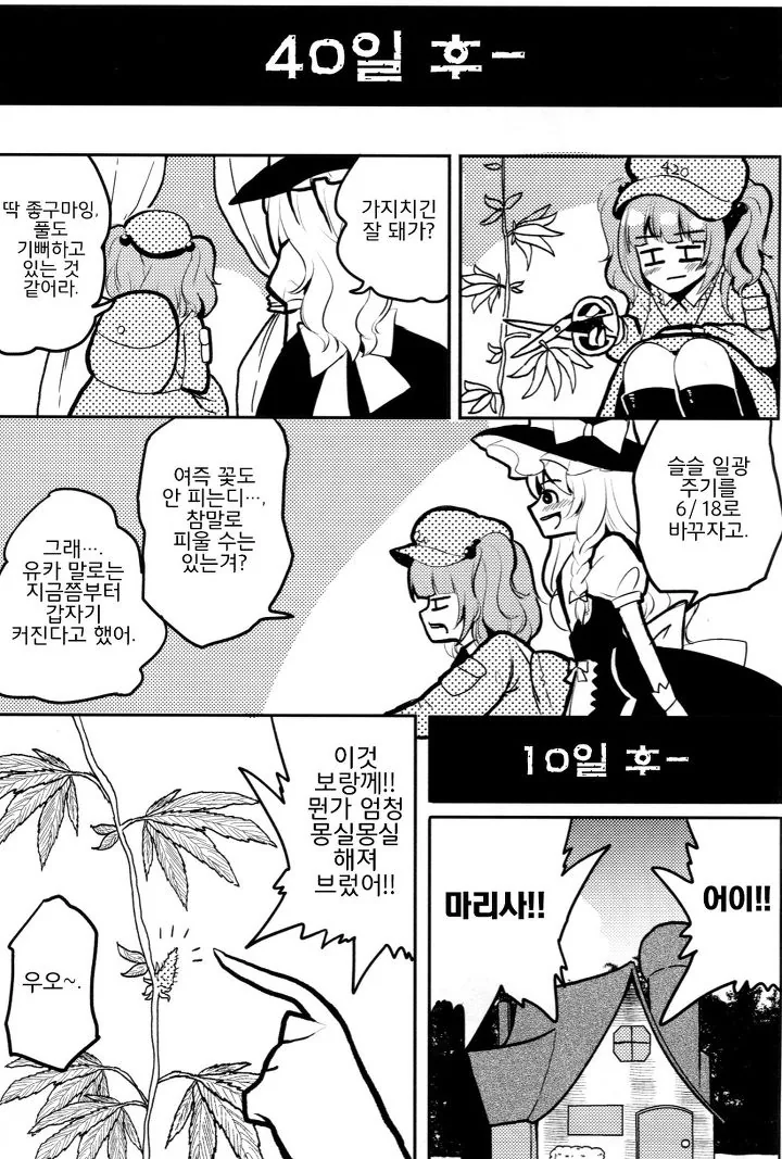 manga_1914_011.webp
