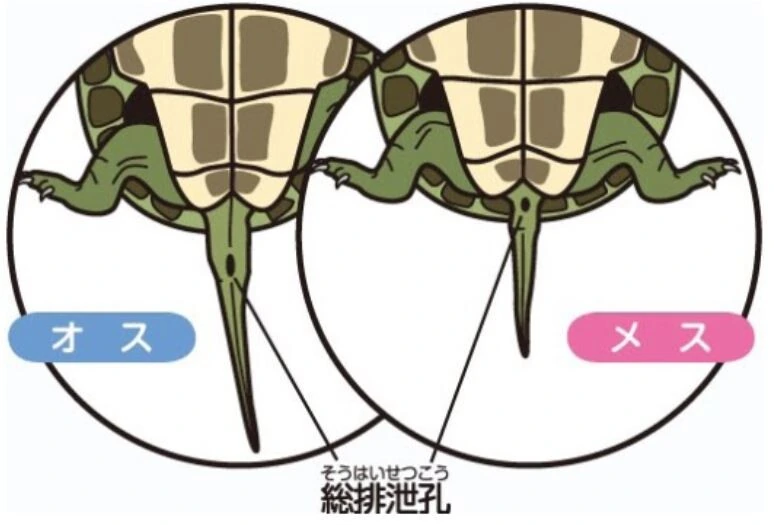 manga_1951023_009.webp