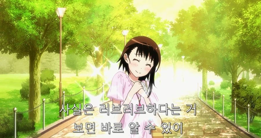 1_00911.jpg