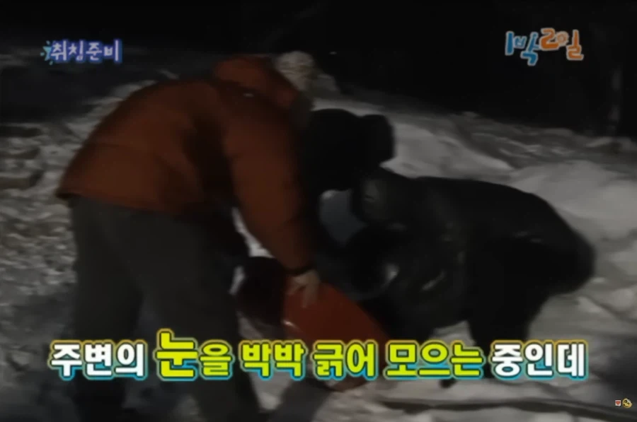 [1박2일] 강호동식 눈싸움_18.webp