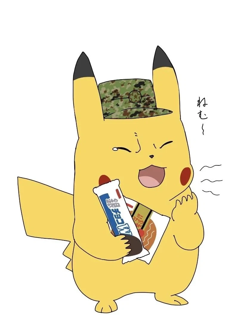 피카피카.....jpg_2.webp