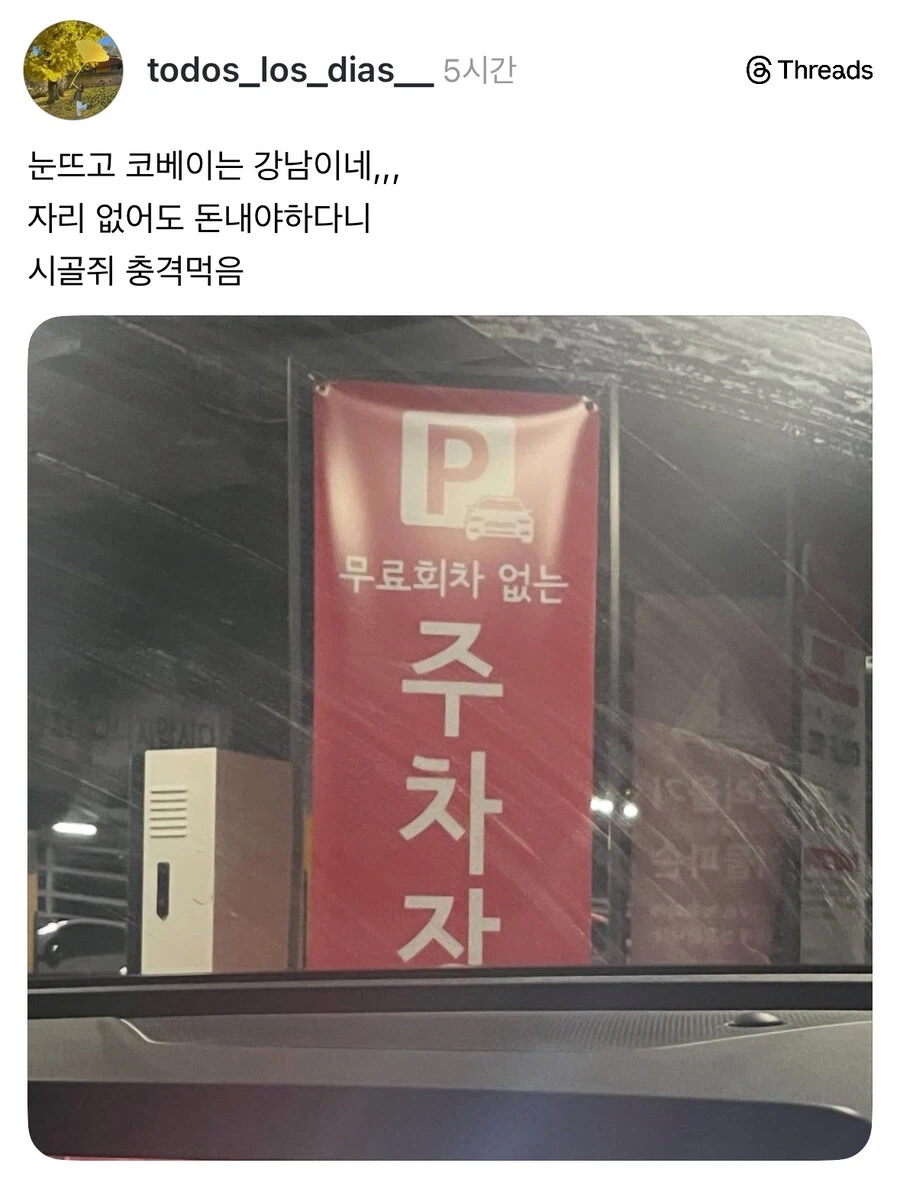 시골쥐는 충격먹는 서울주차장.jpg_1.webp