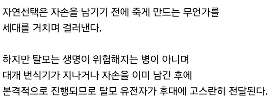 탈모의 유전율이 상대적으로 높은 이유_2.webp