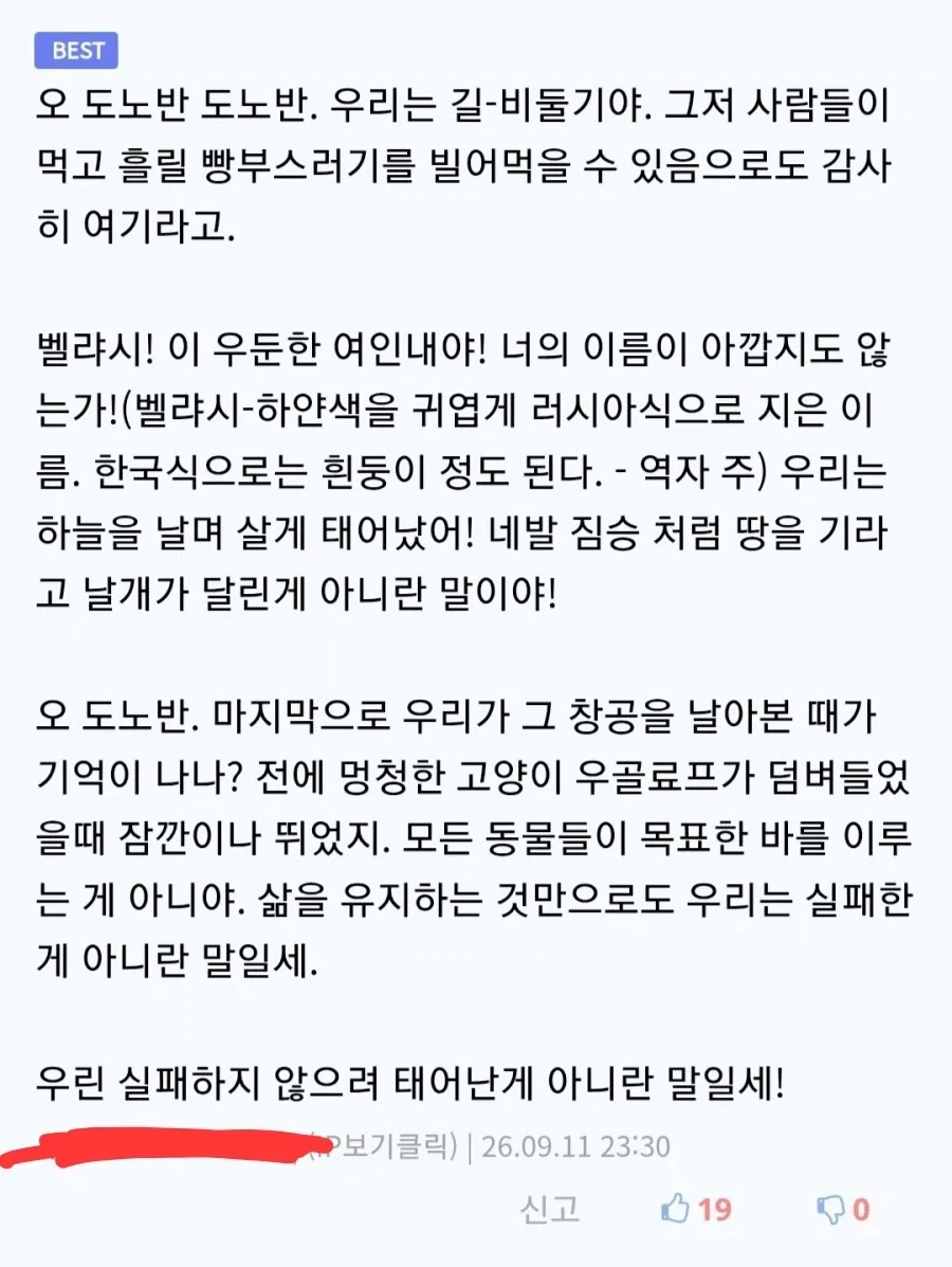 비둘기판 러시아 문학.jpg_2.webp