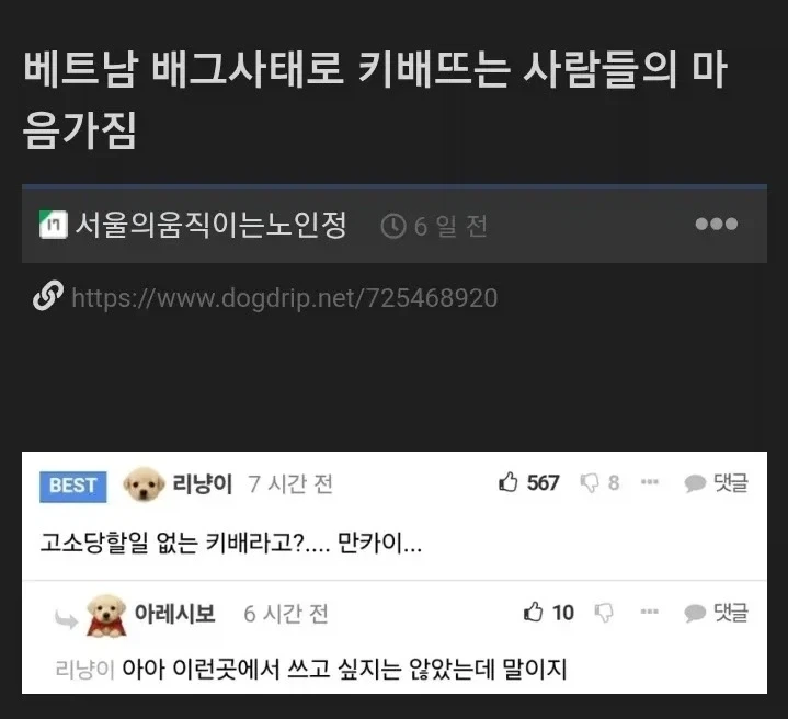 베트남 배그사태로 키배뜨는 사람들 마음가짐.jpg_1.webp