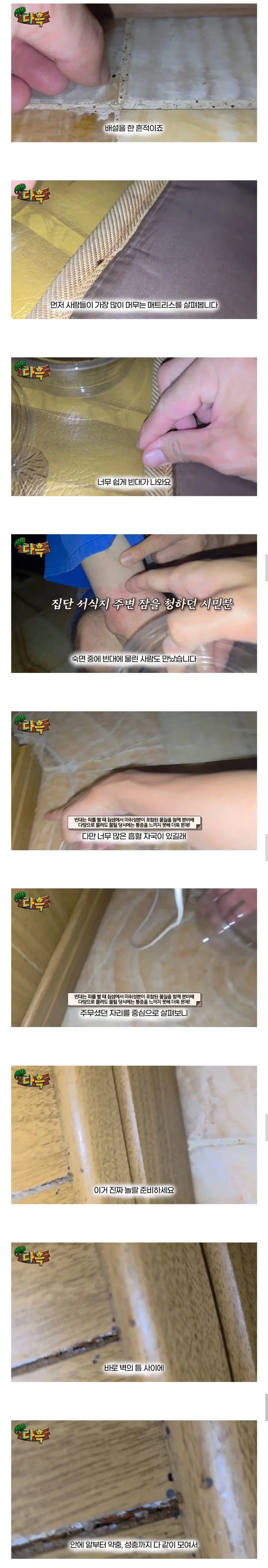 약혐) 부산 찜질방 빈대 이슈 업로드한 유튜버 다흑...jpg_3.webp