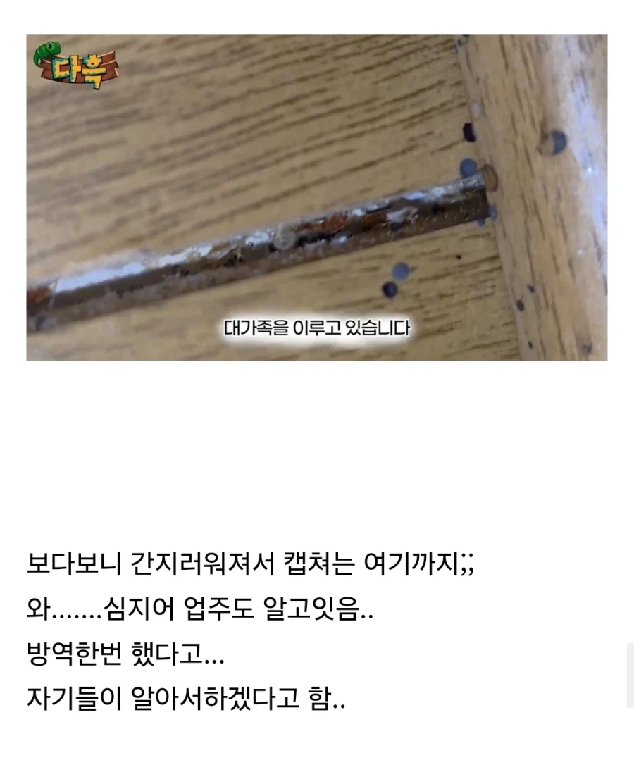 약혐) 부산 찜질방 빈대 이슈 업로드한 유튜버 다흑...jpg_4.webp