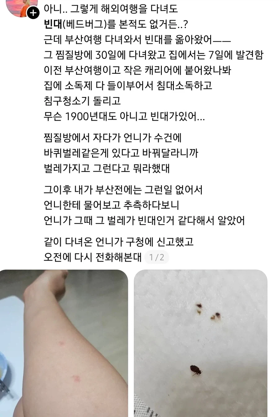 약혐) 부산 찜질방 빈대 이슈 업로드한 유튜버 다흑...jpg_6.webp